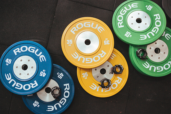 various bumper plate weights