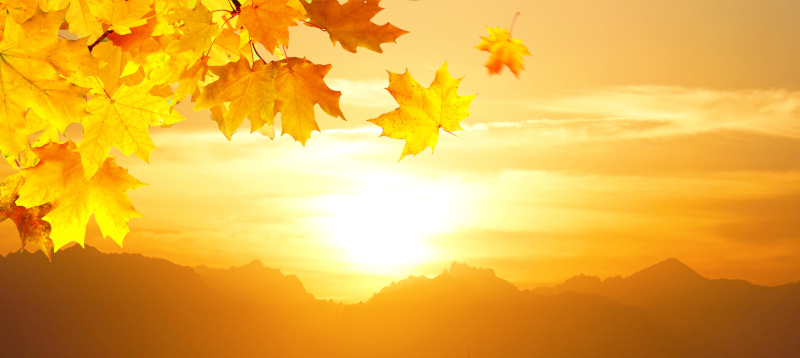 autumn projects, down sizing, declutter, relocation