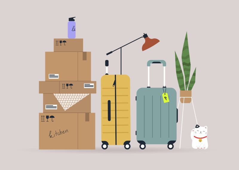 Storage and travelling cartoon