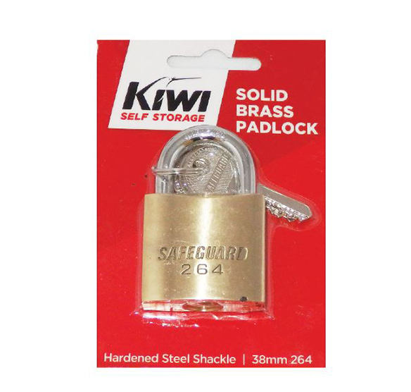 Medium Brass Padlock